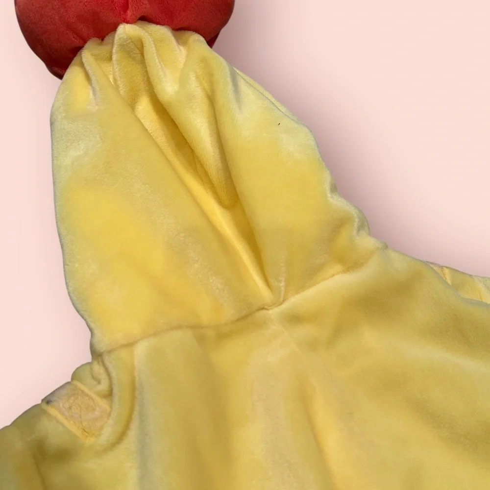 Vintage Baby Warner Bros. Studio Store Tweety Bird Pumpkin Costume